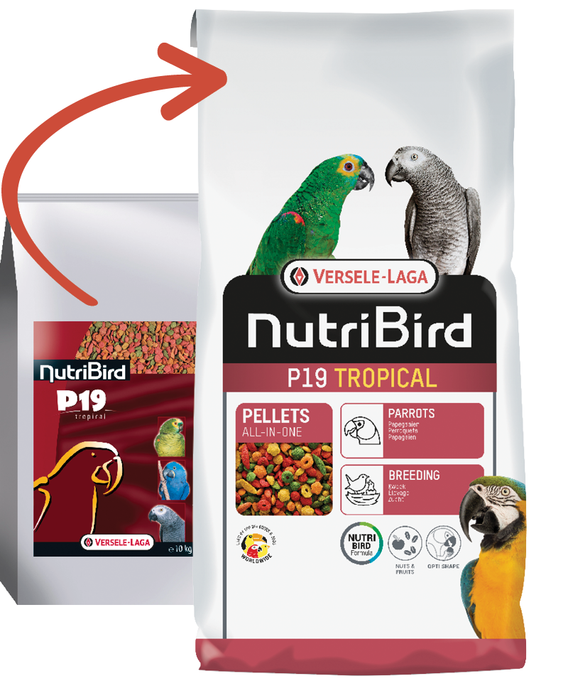 Versele Laga Nutrıbırd P19 Tropıcal Papağan Pelet Yem 10kg