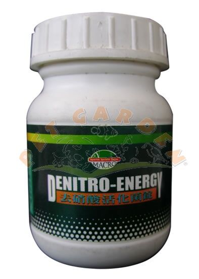 Macroaqua Denıtro Energy
