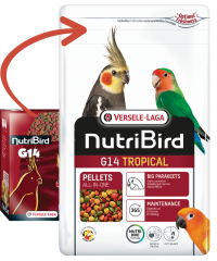 Versele Laga Nutrıbırd G14 Tropıcal Paraket Pelet Yem 10kg
