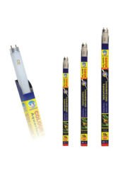 Roxin 30 W T8 Mavi Florasan Lamba